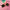 Crap Eyewear · The Jazz Safari | socius design in Rochester, MN