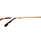 Crap Eyewear · The Jazz Safari | socius design in Rochester, MN