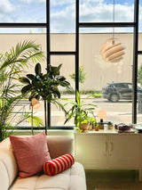 Mustard Made US · The Lowdown | Chalk | socius design in Rochester, MN
