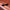 Crap Eyewear · The Marquee Rox | socius design in Rochester, MN