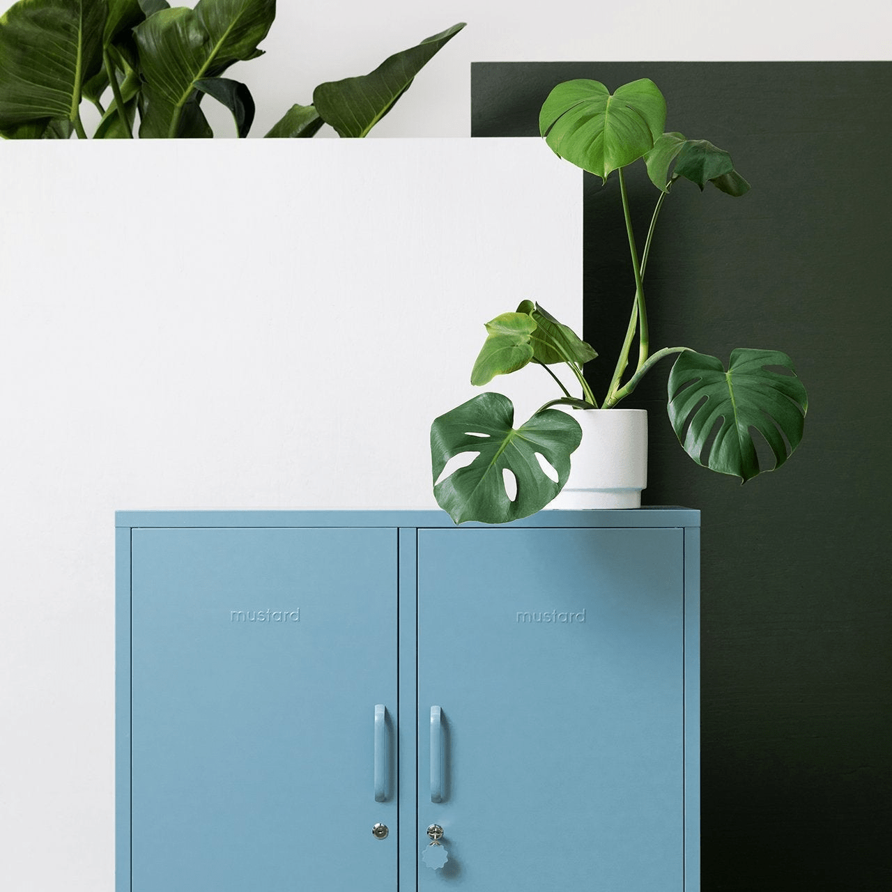 Mustard Made · The Midi in Ocean | socius design in Rochester, MN