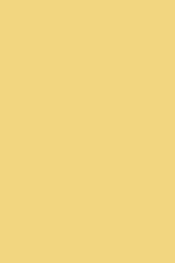 Mustard Made US · The Mixer in Butter | socius design in Rochester, MN