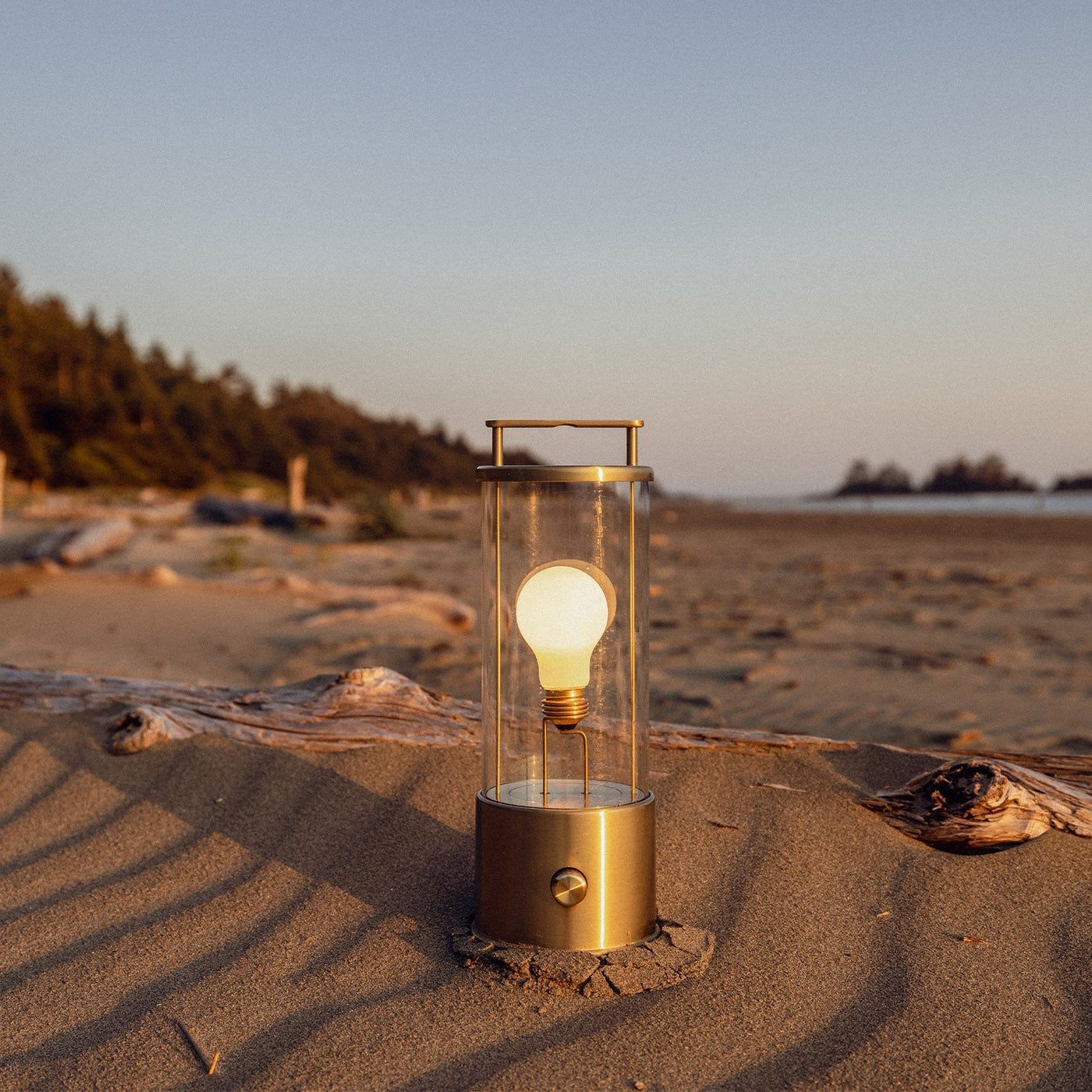 Tala US · The Muse Portable Lamp in Solid Brass | socius design in Rochester, MN