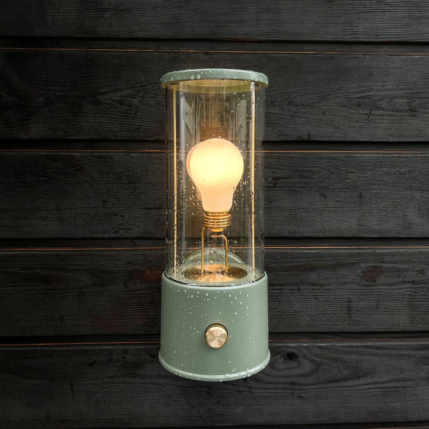 Tala US · The Muse Wall Light in Pleasure Garden Green | socius design in Rochester, MN