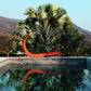 gestalten · The New Mediterranean · Gestalten Editors | socius design in Rochester, MN