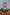 Mustard Made US · The Storyboard | socius design in Rochester, MN