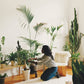 gestalten · The World's Best Shops | socius design in Rochester, MN