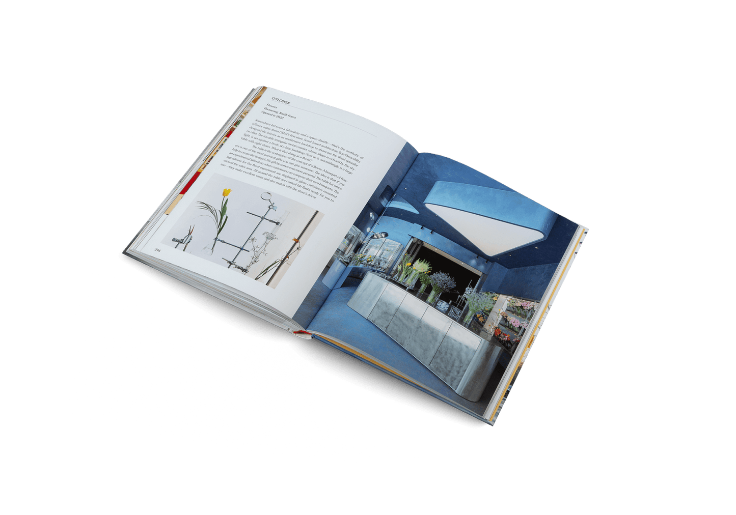 gestalten · Think Big - Shop Small | socius design in Rochester, MN