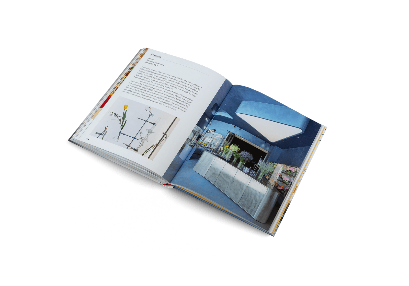 gestalten · Think Big - Shop Small | socius design in Rochester, MN