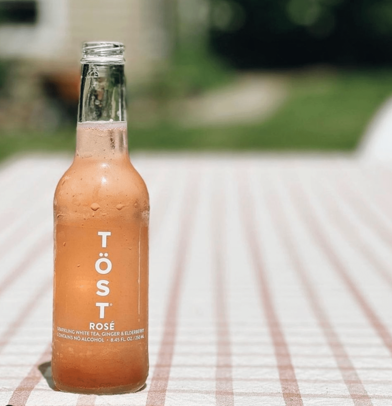 TÖST Beverages · TÖST ROSÉ · 250mL 4 - Pack | socius design in Rochester, MN
