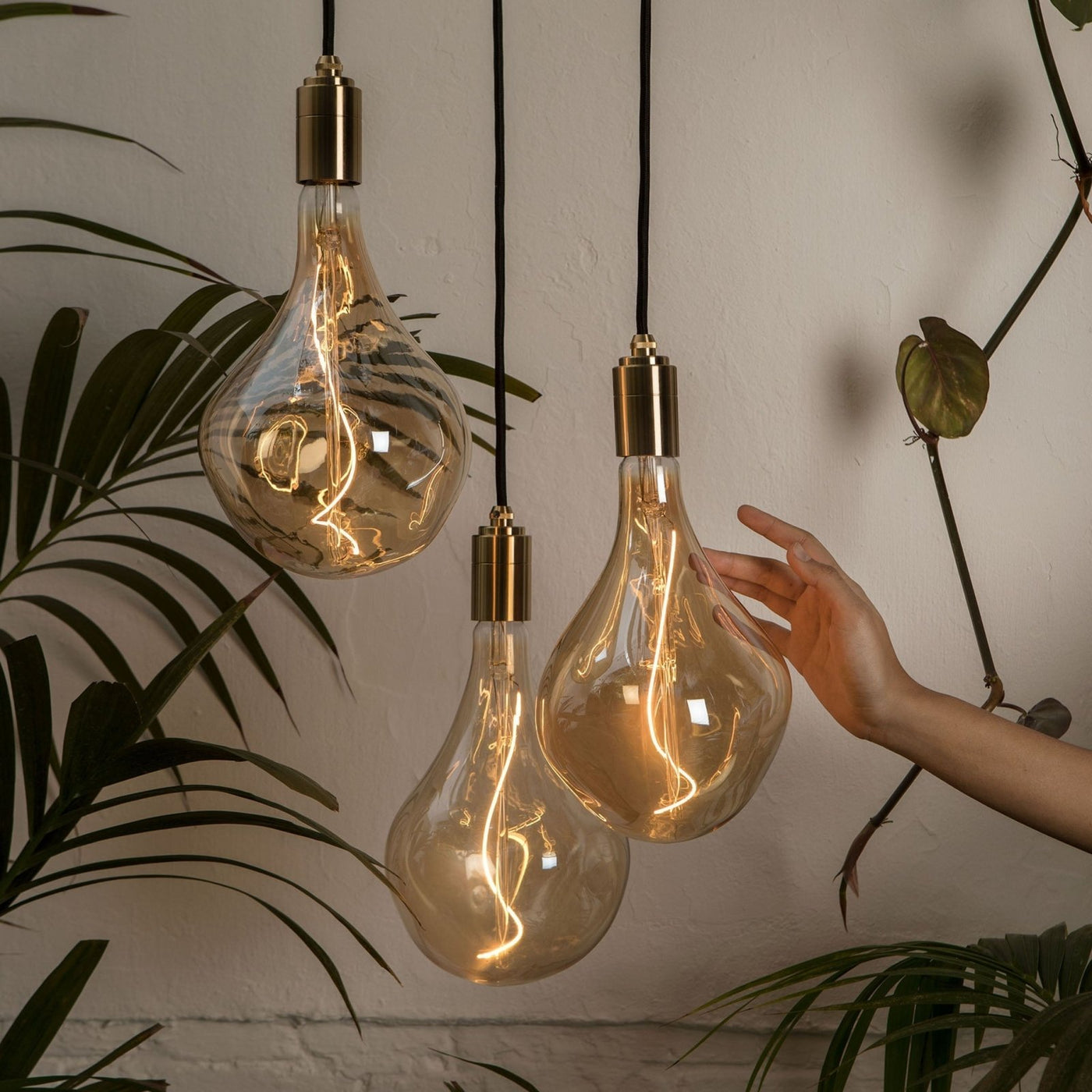 Tala US · Triple Pendant in Brass + Voronoi II | socius design in Rochester, MN