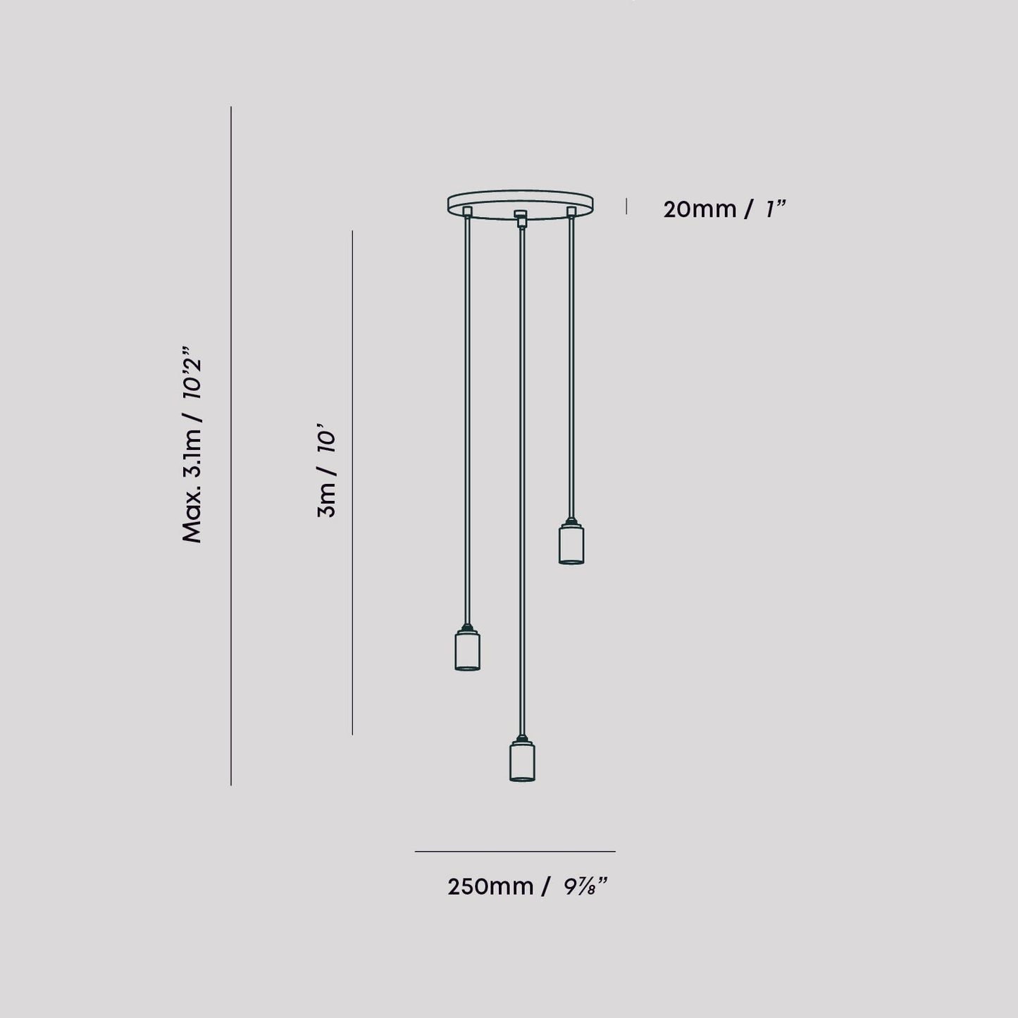 Tala US · Triple Pendant in Brass + Voronoi II | socius design in Rochester, MN