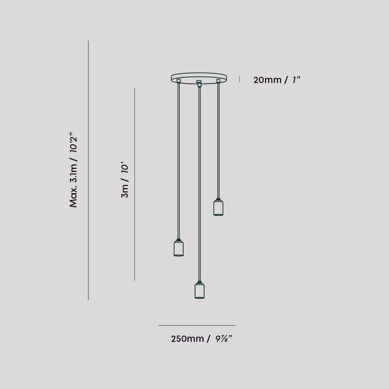 Tala US · Triple Pendant in Brass + Voronoi II | socius design in Rochester, MN