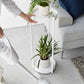 Yamazaki Home · Two - Tier Steel Rolling Plant Stand (28" H) · Yamazaki Home | socius design in Rochester, MN