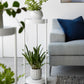 Yamazaki Home · Two - Tier Steel Rolling Plant Stand (28" H) · Yamazaki Home | socius design in Rochester, MN