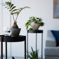 Yamazaki Home · Two - Tier Steel Rolling Plant Stand (28" H) · Yamazaki Home | socius design in Rochester, MN