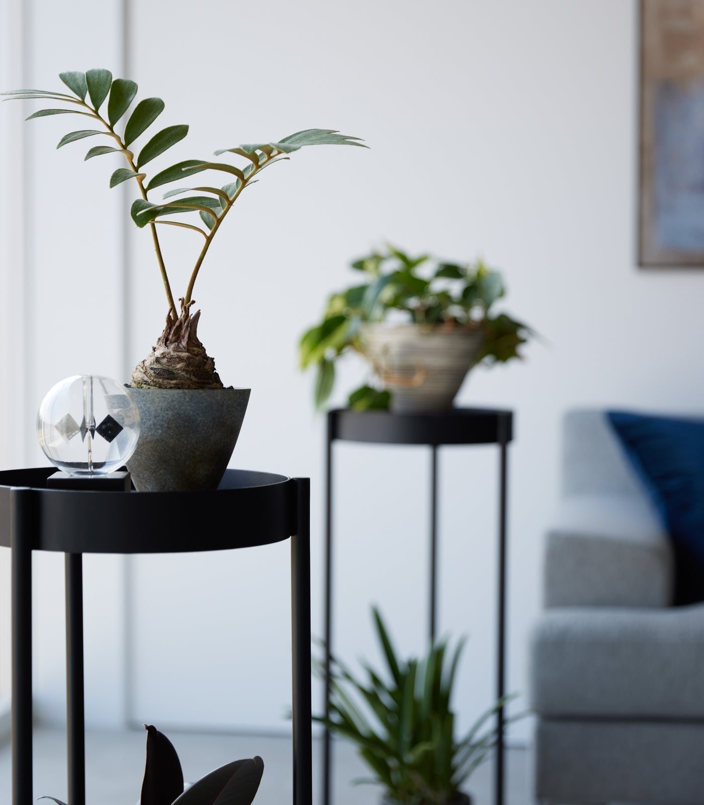 Yamazaki Home · Two - Tier Steel Rolling Plant Stand (28" H) · Yamazaki Home | socius design in Rochester, MN