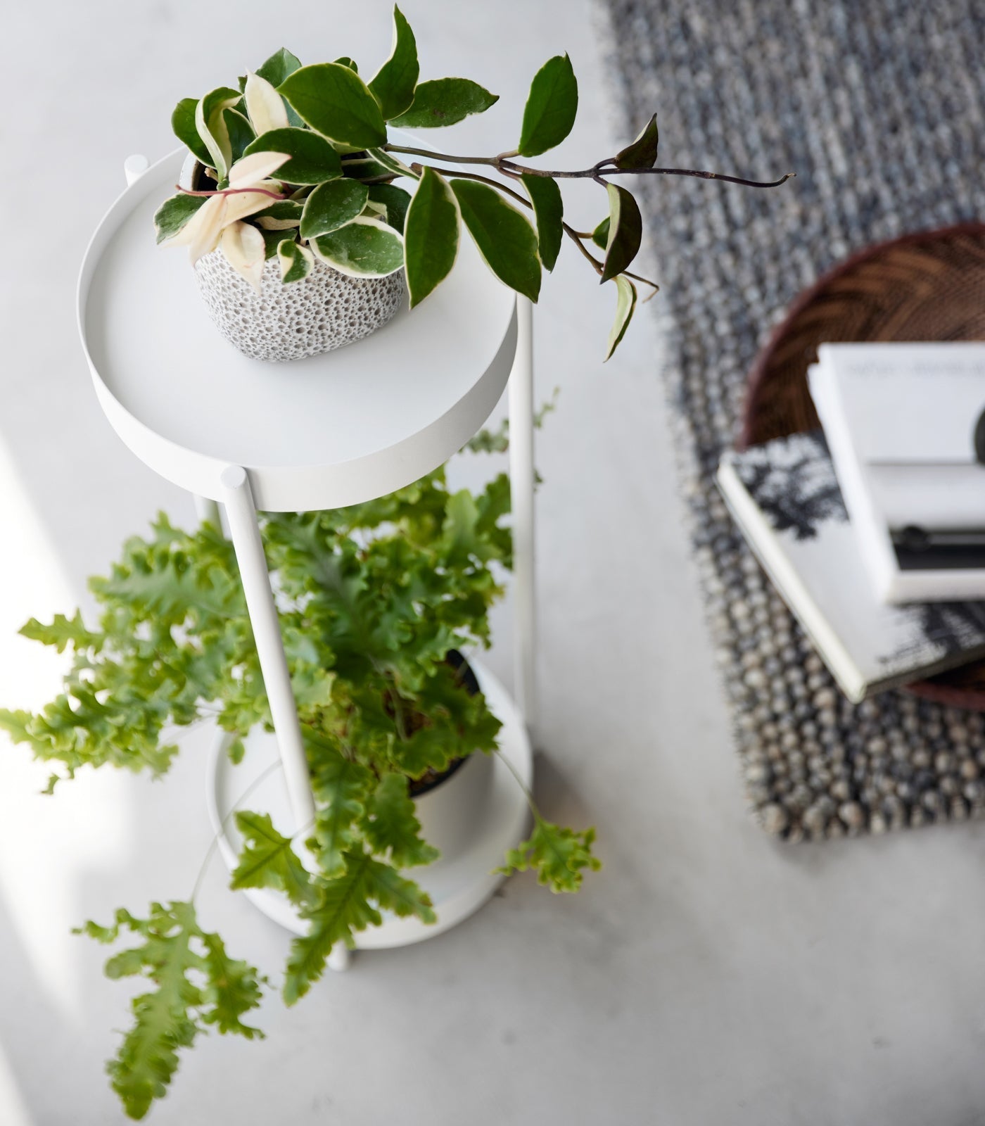 Yamazaki Home · Two - Tier Steel Rolling Plant Stand (28" H) · Yamazaki Home | socius design in Rochester, MN