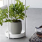 Yamazaki Home · Two - Tier Steel Rolling Plant Stand (28" H) · Yamazaki Home | socius design in Rochester, MN