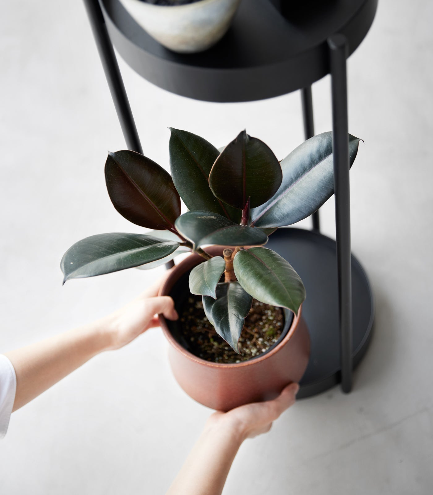 Yamazaki Home · Two - Tier Steel Rolling Plant Stand (28" H) · Yamazaki Home | socius design in Rochester, MN
