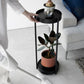 Yamazaki Home · Two - Tier Steel Rolling Plant Stand (28" H) · Yamazaki Home | socius design in Rochester, MN