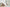 gestalten · Upgrade · Gestalten Editors | socius design in Rochester, MN