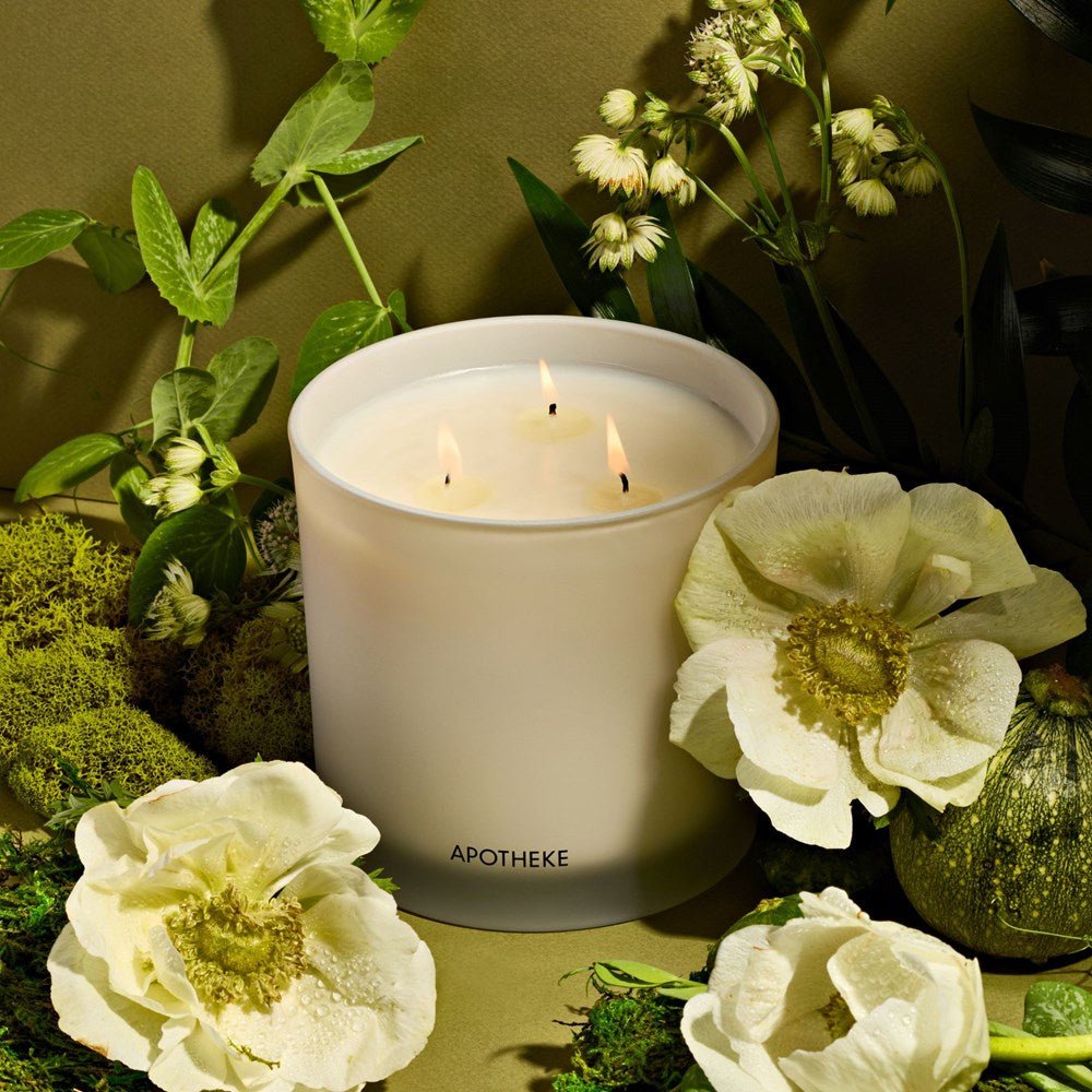 APOTHEKE · Verdant Garden 3-Wick Candle | socius design in Rochester, MN