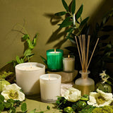 APOTHEKE · Verdant Garden Reed Diffuser | socius design in Rochester, MN