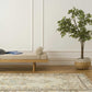 Revival · Vintage Turkish Hand - Knotted Wool Rug · 5' X 9'4" | socius design in Rochester, MN