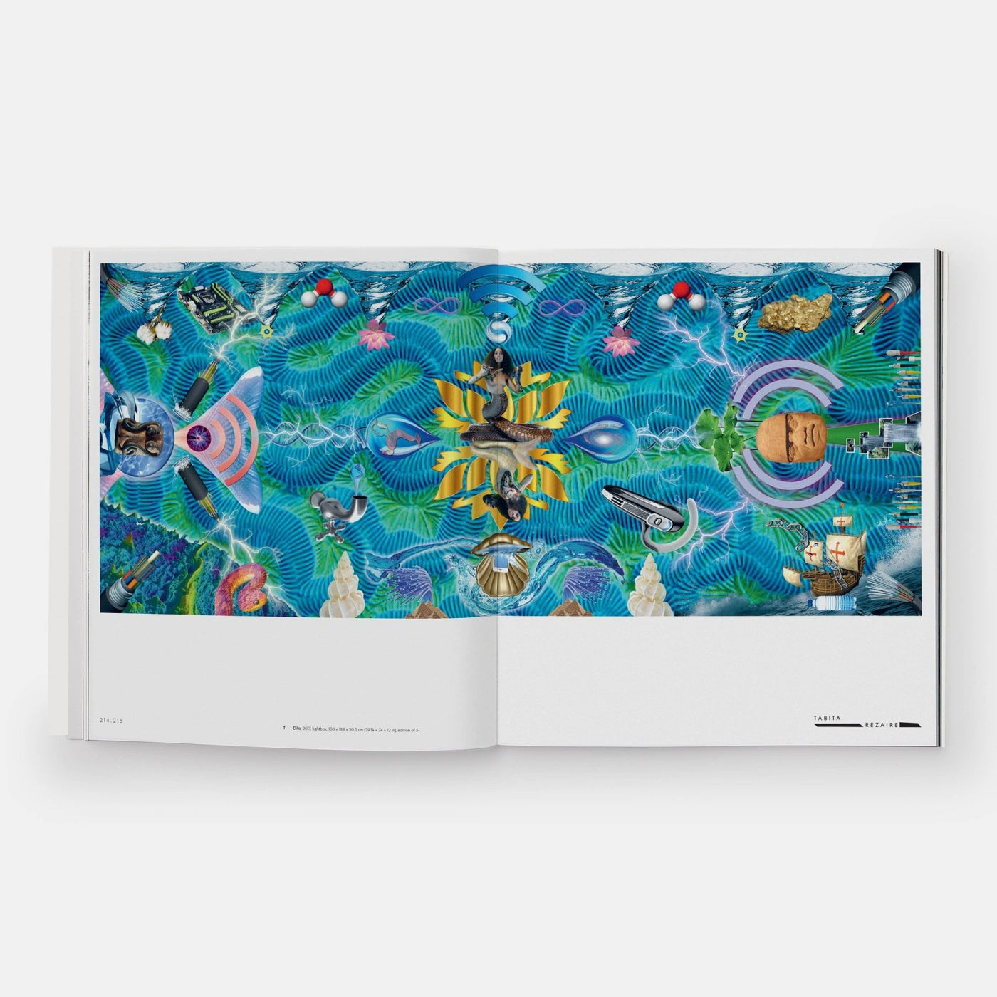 Phaidon · Vitamin C+: Collage in Contemporary Art | socius design in Rochester, MN