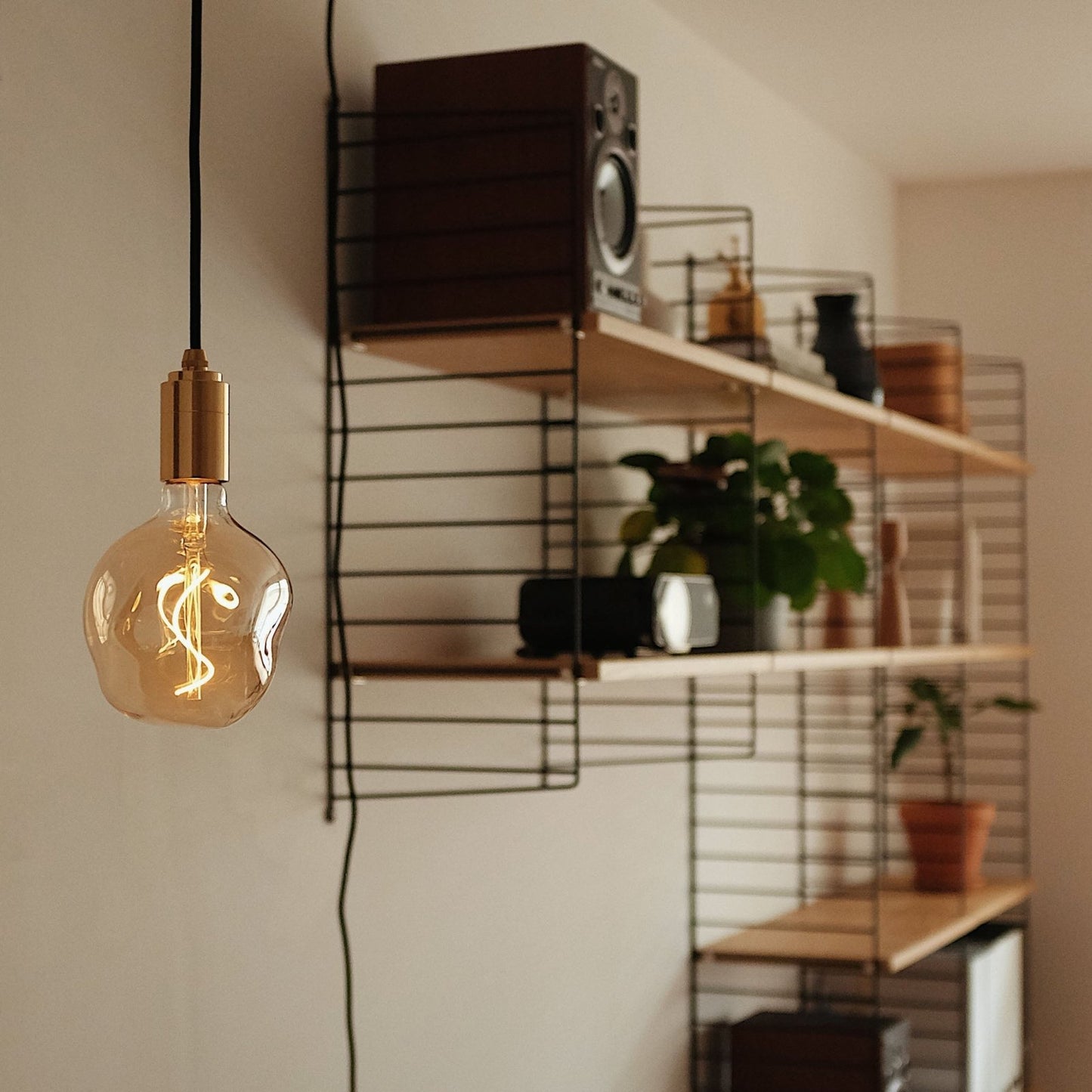 Tala US · Voronoi I Pendant Light in Brass | socius design in Rochester, MN