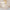 Tala US · Voronoi II E26 LED Bulb | socius design in Rochester, MN