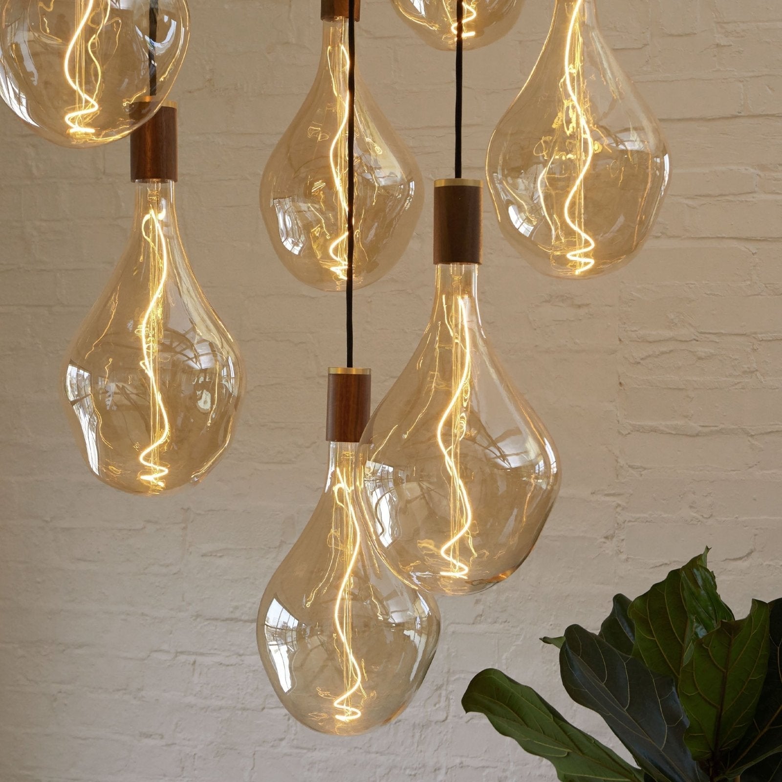 Tala US · Voronoi III E26 LED Bulb | socius design in Rochester, MN