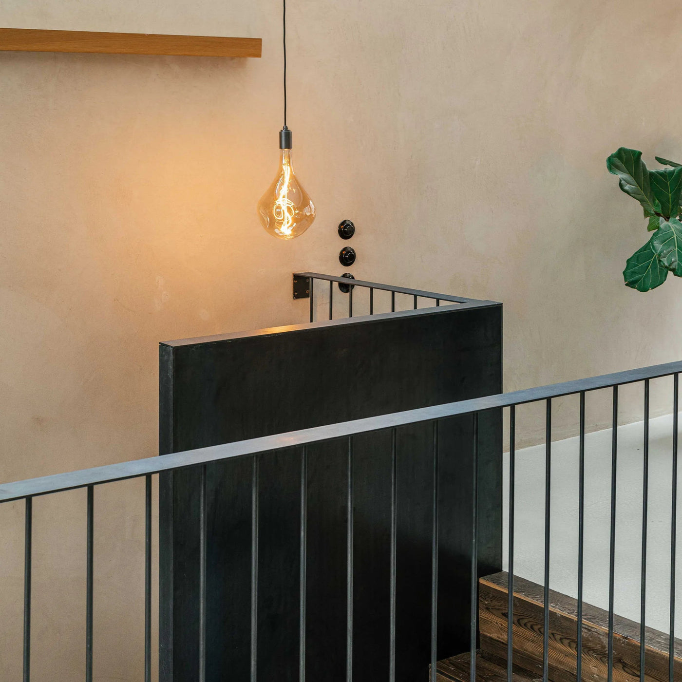 Tala US · Voronoi III Pendant Light in Graphite | socius design in Rochester, MN