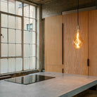 Tala US · Voronoi III Plug - In Pendant in Brass | socius design in Rochester, MN