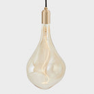 Tala US · Voronoi III Plug - In Pendant in Brass | socius design in Rochester, MN