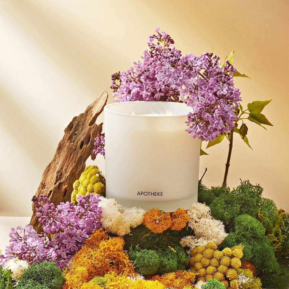 APOTHEKE · White Vetiver 3-Wick Candle | socius design in Rochester, MN