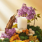 APOTHEKE · White Vetiver Classic Candle | socius design in Rochester, MN