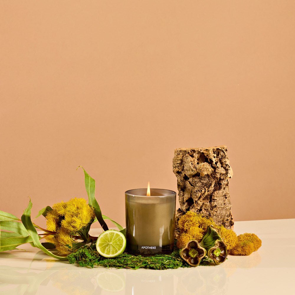 APOTHEKE · White Vetiver Petite Candle | socius design in Rochester, MN
