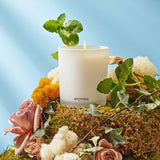 APOTHEKE · Wild Mint and Ivy Classic Candle | socius design in Rochester, MN