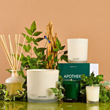 APOTHEKE · Wild Mint and Ivy Votive Candle | socius design in Rochester, MN