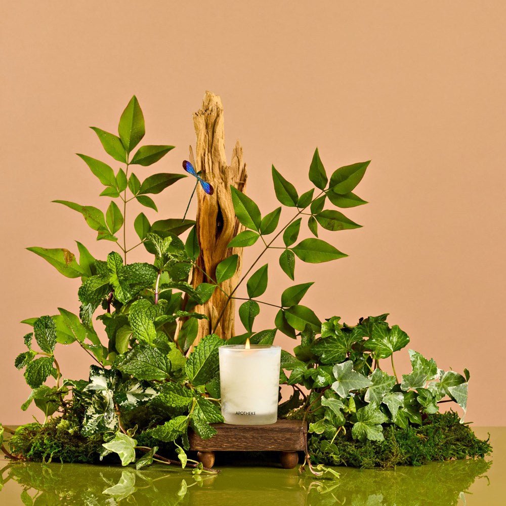 APOTHEKE · Wild Mint and Ivy Votive Candle | socius design in Rochester, MN